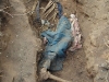 Skeletons exhumed in Matabeleland in the 1990s
